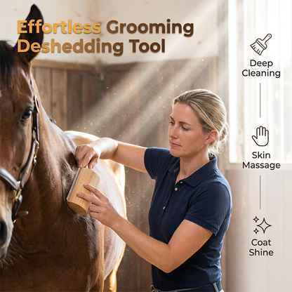 🌲Brosse en bois pour animaux de compagnie – Élimine le sous-poil et les squames. Idéale pour les animaux anxieux ou sensibles. Une séance de toilettage en toute sérénité. 🌿💚