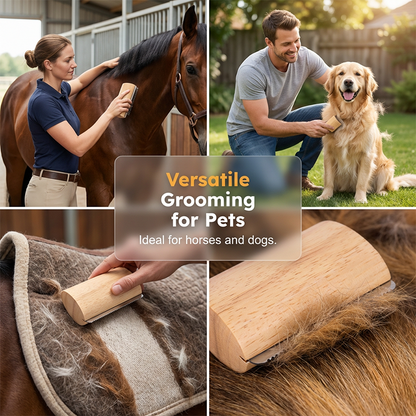 🌲Brosse en bois pour animaux de compagnie – Élimine le sous-poil et les squames. Idéale pour les animaux anxieux ou sensibles. Une séance de toilettage en toute sérénité. 🌿💚