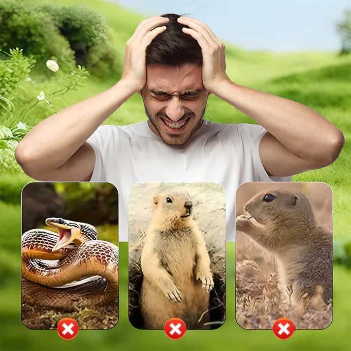💐50% DE RÉDUCTION ! Protecteur de Jardin – Éloigne Souris & Taupes Sans Produits Chimiques 🌸🐭【Limité : 5+5 GRATUITS】