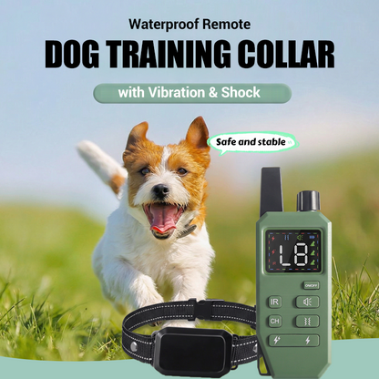 🐶 Collier d'entraînement pour chien – Contrôle à distance simple et efficace | -50% aujourd’hui 🔥