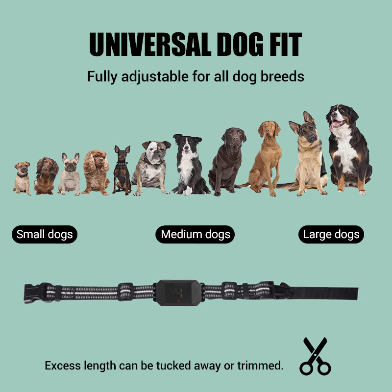 🐶 Collier d'entraînement pour chien – Contrôle à distance simple et efficace | -50% aujourd’hui 🔥