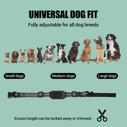 🐶 Collier d'entraînement pour chien – Contrôle à distance simple et efficace | -50% aujourd’hui 🔥