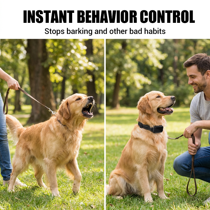 🐶 Collier d'entraînement pour chien – Contrôle à distance simple et efficace | -50% aujourd’hui 🔥