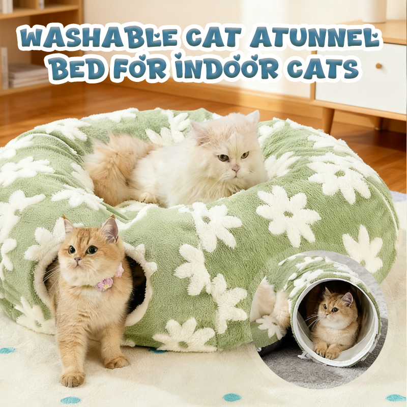 🐾 50% DE RÉDUCTION！😻 Lit tunnel lavable pour chats d'intérieur