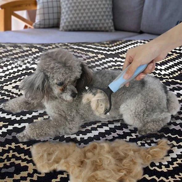 🐾🧹 Brosse Premium pour Chats & Chiens – Poils Doux, Anti-Poils & Idéale Pour Un Pelage Sain Et Brillant 🐶