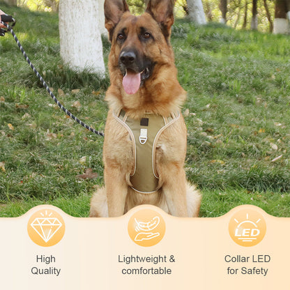 📢📢50 % DE RÉDUCTION !! ⏰Harnais anti-traction pour chien avec laisse et collier à LED
