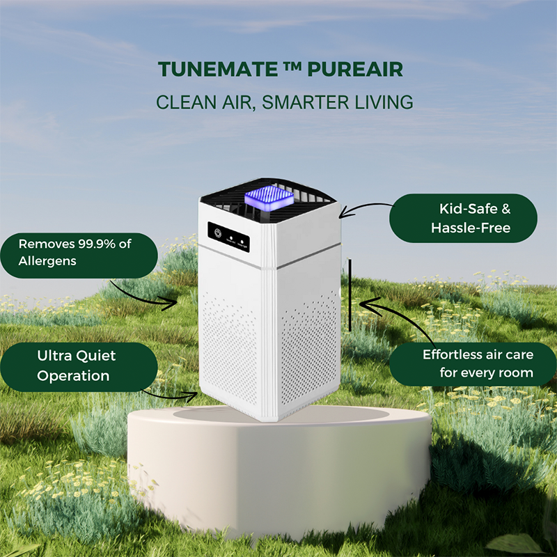 ⏳50 % de réduction + livraison gratuite⏰Purificateur d'air pour la maison 🔥 Un air pur & La protection de la santé🛡️