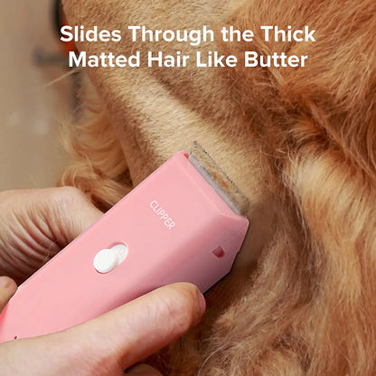 🐾✂️ PROMO FLASH 55% ! Tondeuse Animaux Silencieuse & Sans Fil – Lame Céramique, Étanche IPX7, Autonomie 90 min, Charge USB 🔋