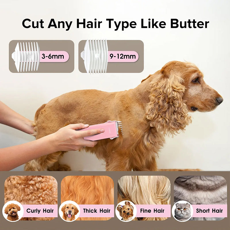 🐾✂️ PROMO FLASH 55% ! Tondeuse Animaux Silencieuse & Sans Fil – Lame Céramique, Étanche IPX7, Autonomie 90 min, Charge USB 🔋