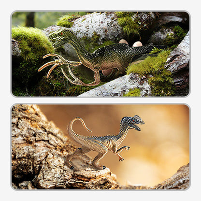 📢📢50 % DE RÉDUCTION !! ⏰Kit ludique et éducatif sur les dinosaures pour enfants